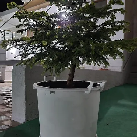 Gezimi Apartamento *